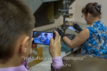 Нижегородская фабрика елочных игрушек Ариэль