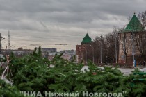Монтаж главной новогодней елки начался в Нижнем Новгороде