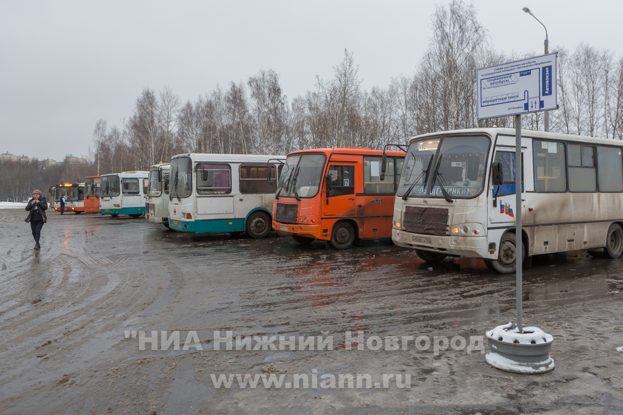Администрация Нижнего Новгорода заявила о сокращении автобусного парка в 2016 году на 16%