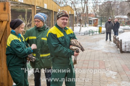 Спасенных розовых фламинго поселили в специальный вольер в нижегородском зоопарке Лимпопо