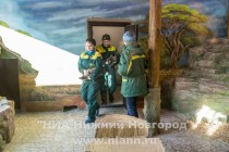 Спасенных розовых фламинго поселили в специальный вольер в нижегородском зоопарке Лимпопо