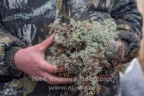 Инспекционная проверка проекта по восстановлению популяции лесного северного оленя в экоцентре заповедника Керженский