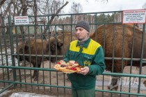 Питомцев нижегородского зоопарка Лимпопо угостили блинами по случаю Масленицы