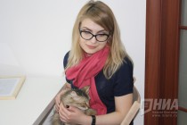 Котокафе MURZIK открылось в Нижнем Новгороде