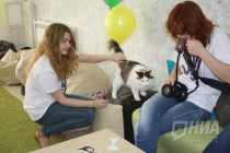 Котокафе MURZIK открылось в Нижнем Новгороде