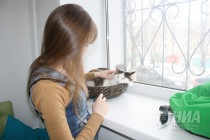 Котокафе MURZIK открылось в Нижнем Новгороде