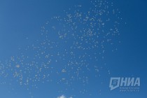 Нижний Новгород принял участие во всероссийском флешмобе Подними голову