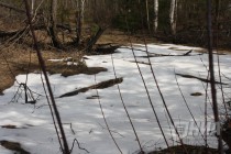 На территории Керженского заповедника