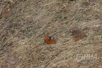 На территории Керженского заповедника