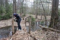 На территории Керженского заповедника