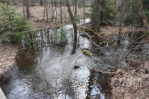На территории Керженского заповедника