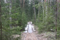 На территории Керженского заповедника