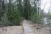 На территории Керженского заповедника