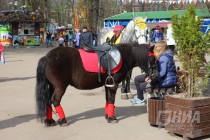 Открытие паркового сезона в Нижнем Новгороде