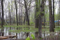 Открытие паркового сезона в Нижнем Новгороде