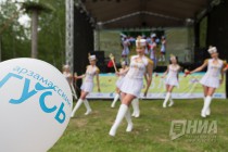 V фестиваль кулинарного искусства Арзамасский гусь