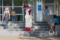 V фестиваль кулинарного искусства Арзамасский гусь