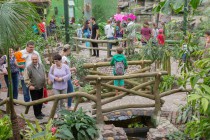 Открытие вольерного комплекса Амазония в нижегородском зоопарке Лимпопо