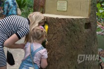 Открытие вольерного комплекса Амазония в нижегородском зоопарке Лимпопо