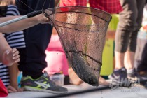 День рыбака отметили в Автозаводском парке Нижнего Новгорода