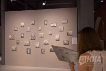 Выставка Белое море. Чёрная дыра. Доска почета