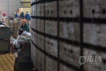 Пресс-тур для региональных журналистов и блогеров на Нижегородскую ГЭС