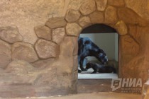 Родившихся 19 сентября котят ягуара показали журналистам в нижегородском зоопарке Лимпопо