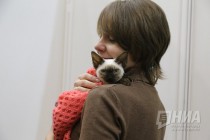 Выставка кошек прошла на Нижегородской ярмарке 4 ноября