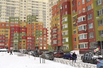 Акция протеста жителей ЖК Цветы и Союза собственников жилья состоялась в Нижнем Новгороде 10 декабря