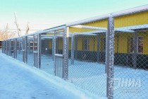 Новый приют для животных открылся в Нижнем Новгороде