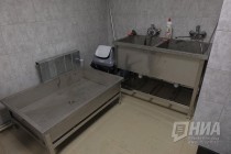 Новый приют для животных открылся в Нижнем Новгороде