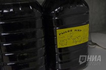 Новый приют для животных открылся в Нижнем Новгороде