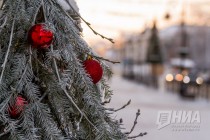 Морозный день в Нижнем Новгороде