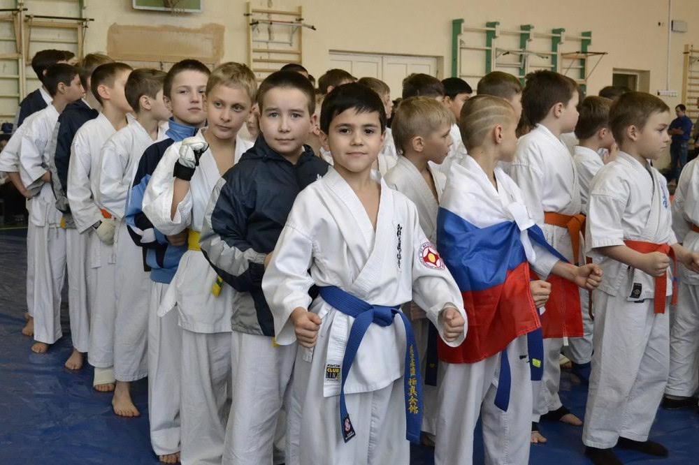 Юные нижегородские спортсмены привезли восемь медалей с турнира по Киокушинкайкан-каратэ