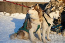 Открытие праздничной площадки Зимовка на Рождественской в Нижнем Новгороде