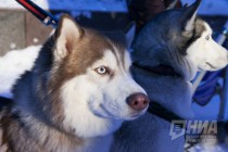 Открытие праздничной площадки Зимовка на Рождественской в Нижнем Новгороде