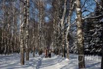 День пельменя прошел в Автозаводском парке Нижнего Новгорода