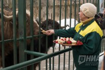 Звериная масленица в нижегородском зоопарке Лимпопо