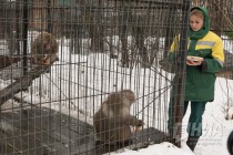 Звериная масленица в нижегородском зоопарке Лимпопо