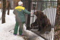 Звериная масленица в нижегородском зоопарке Лимпопо