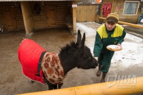 Звериная масленица в нижегородском зоопарке Лимпопо