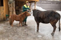 Звериная масленица в нижегородском зоопарке Лимпопо