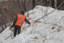 Вырубка деревьев на ул. Семашко в Нижнем Новгороде