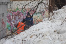 Вырубка деревьев на ул. Семашко в Нижнем Новгороде