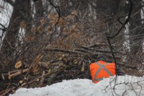 Вырубка деревьев на ул. Семашко в Нижнем Новгороде