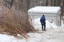 Вырубка деревьев на ул. Семашко в Нижнем Новгороде