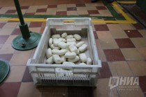 Экскурсия на мыловаренное производство НМЖК