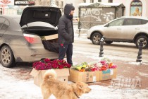 Нижний Новгород готовится к празднованию 8 марта