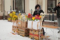 Нижний Новгород готовится к празднованию 8 марта