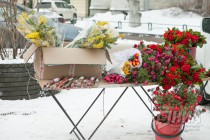 Нижний Новгород готовится к празднованию 8 марта